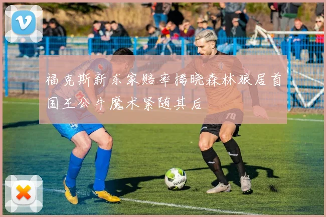 福克斯新东家赔率揭晓森林狼居首国王公牛魔术紧随其后